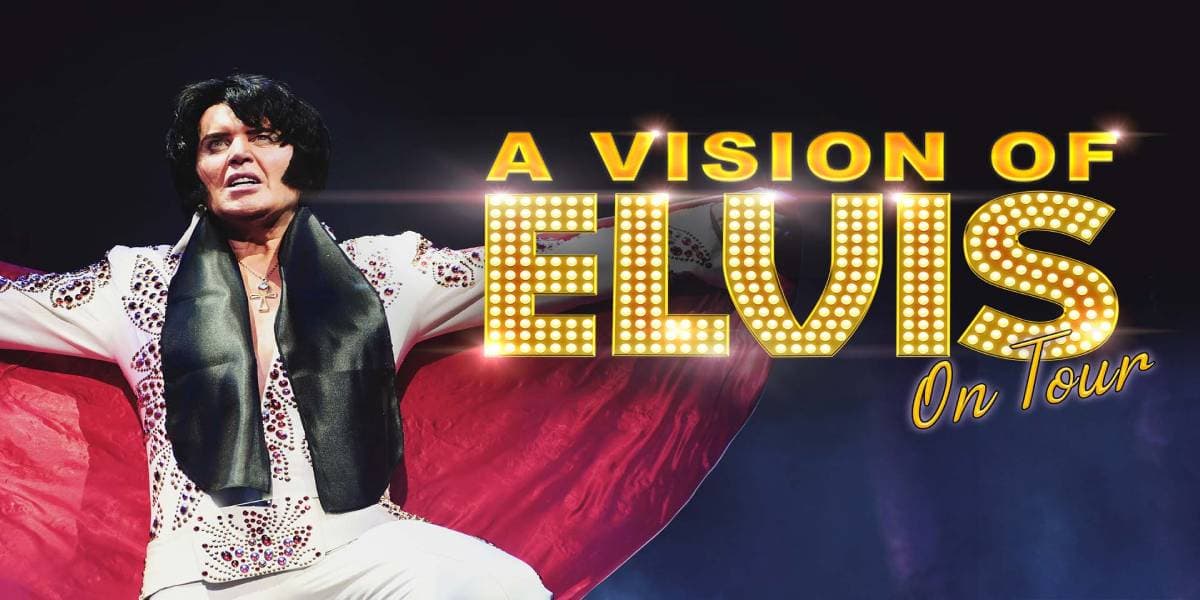 Hero image for A Vision of Elvis