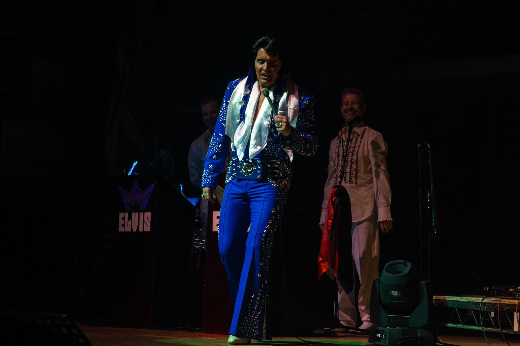 Image preview for A Vision of Elvis